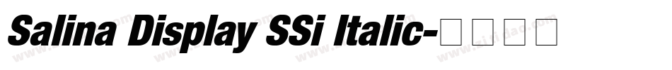 Salina Display SSi Italic字体转换